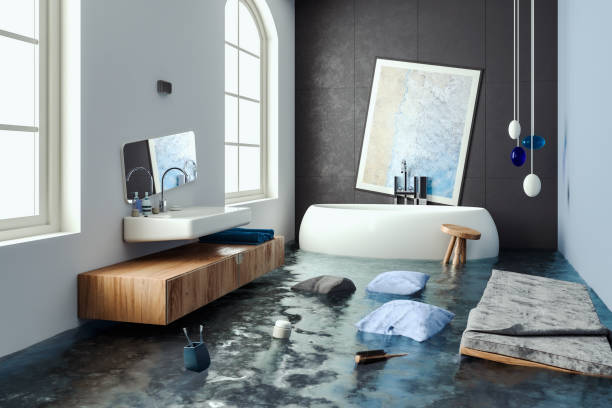 Best Professional water damage repair  in Wanatah, IN