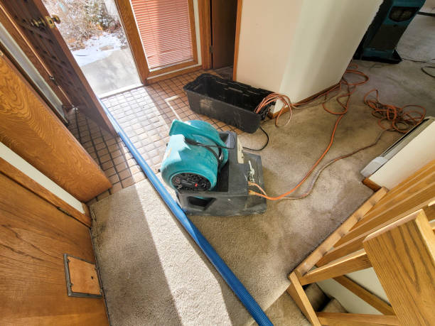 Best Water damage cleanup near me  in Wanatah, IN