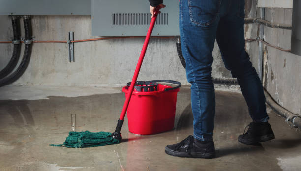 Best Water damage restoration specialists  in Wanatah, IN