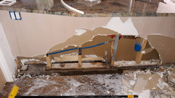 Best Ceiling water damage repair  in Wanatah, IN