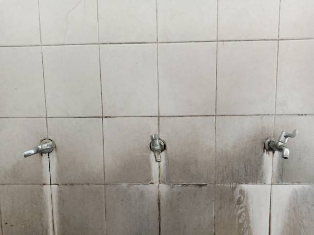 Best Emergency water damage restoration  in Wanatah, IN