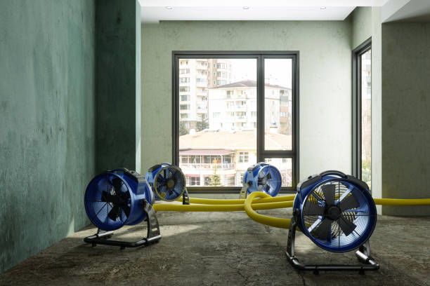 Carpet water damage restoration in Wanatah, IN