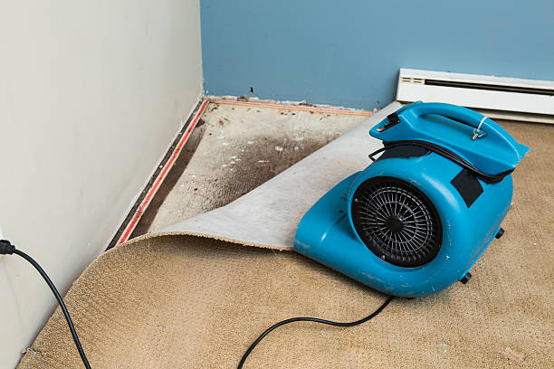 Reliable Wanatah, IN Water damage restoration Solutions